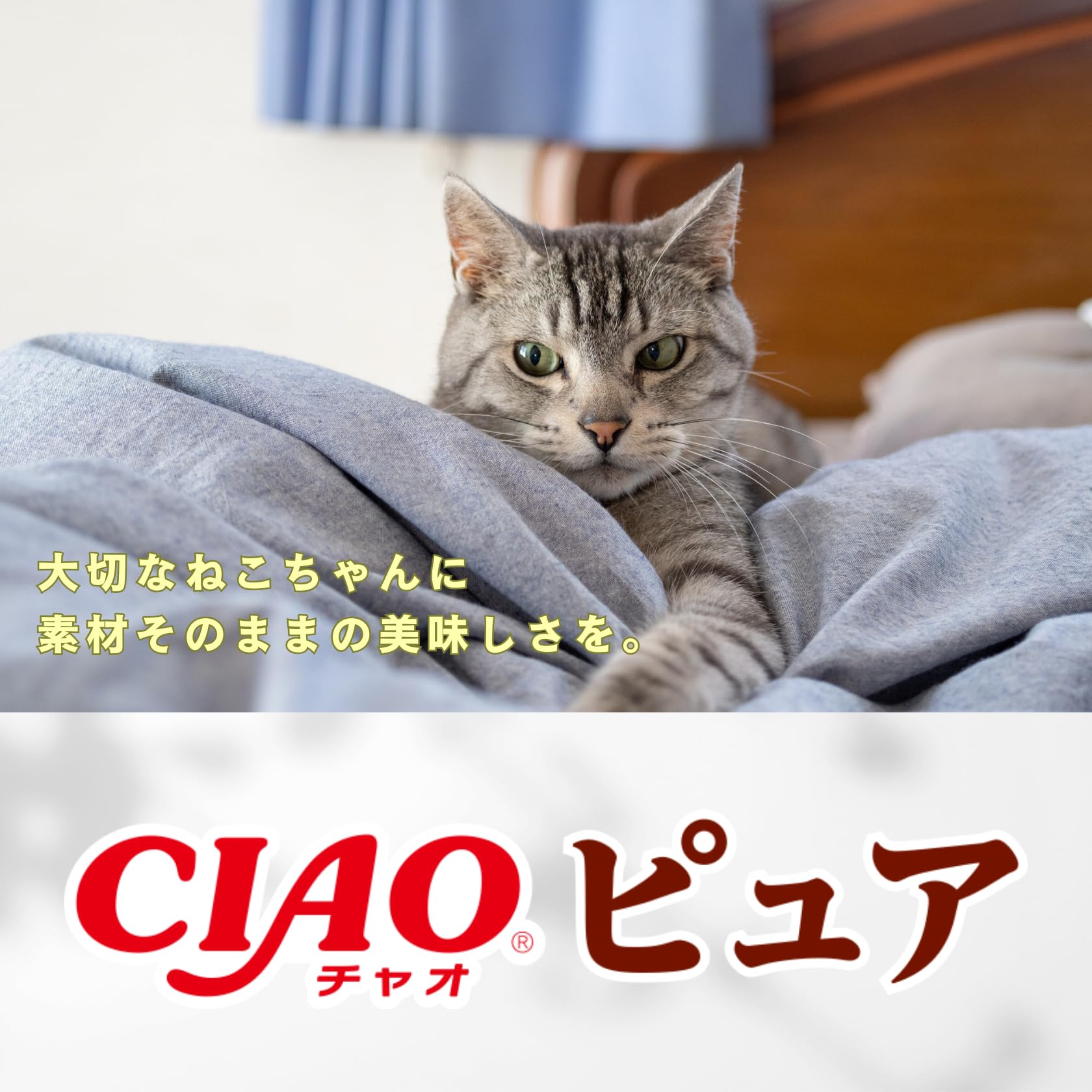 Amazon.co.jp: チャオ (CIAO) ピュアちゅ~る まぐろ・かつおバラエティ