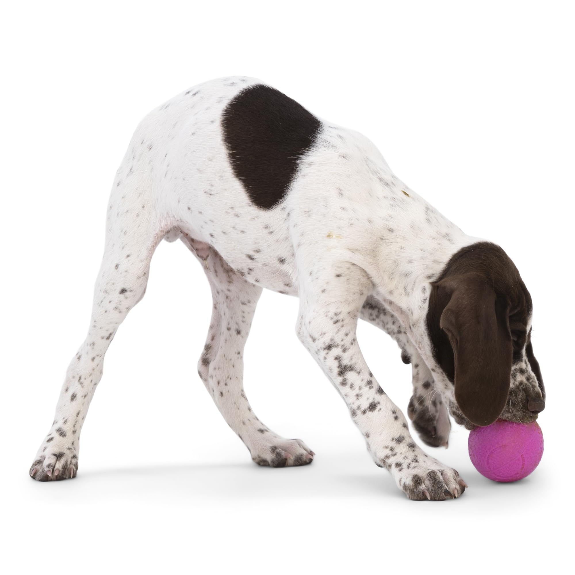 WEST PAW Boundr Ball Dog Fetch Toy Bouncing Toys for Dogs, Fetch, Catch, Chewing, Play Floatable, Recyclable Balls Small Hot Pink/Aqua Blue 2-Pack - Image 4
