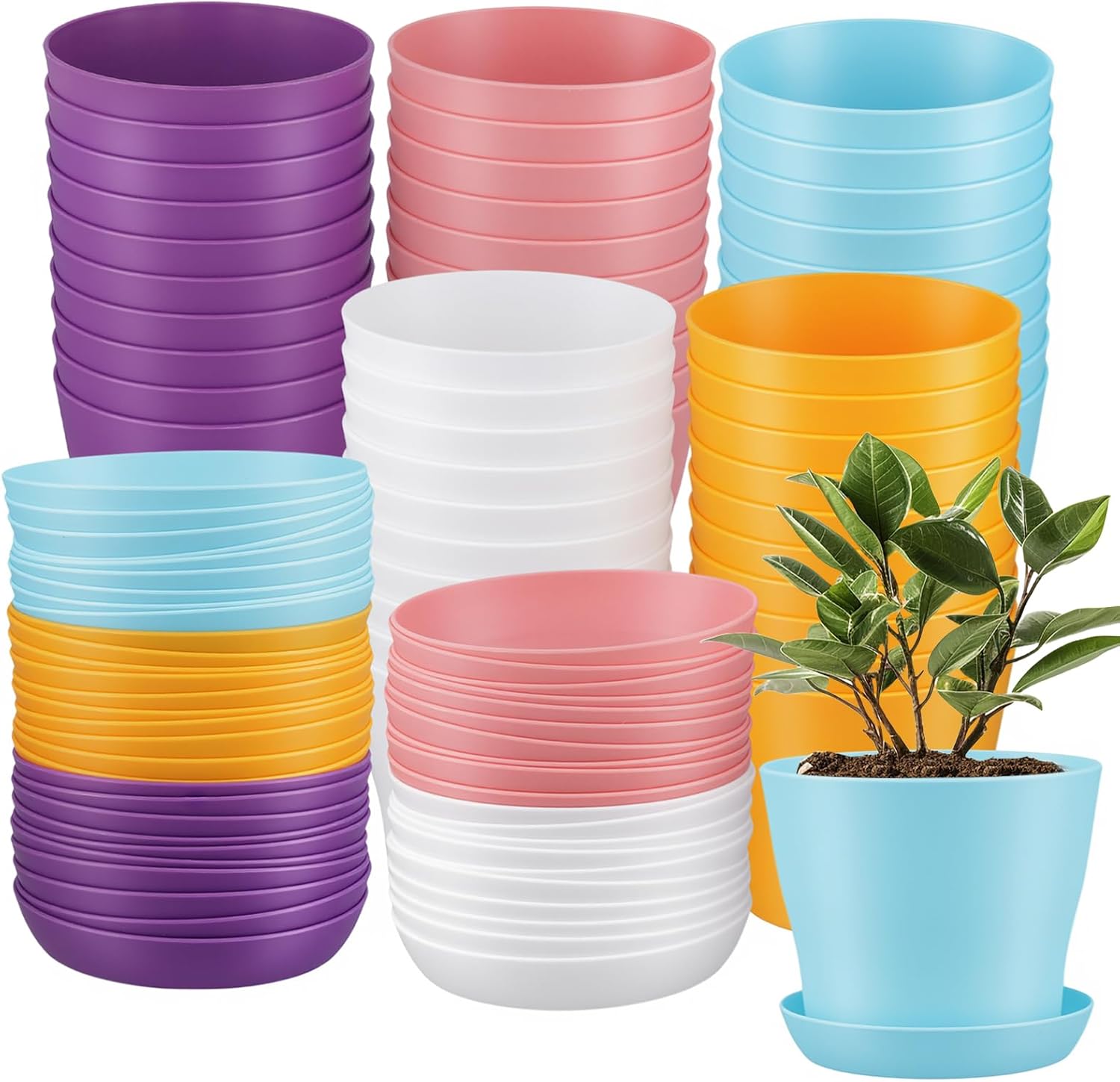 MOUYAT 50 Pack 4 Inch Plastic Plant Flower Pots with Drainage Holes and Trays, Colorful Planter Indoor Outdoor for Succulents, Cactus, African Violets