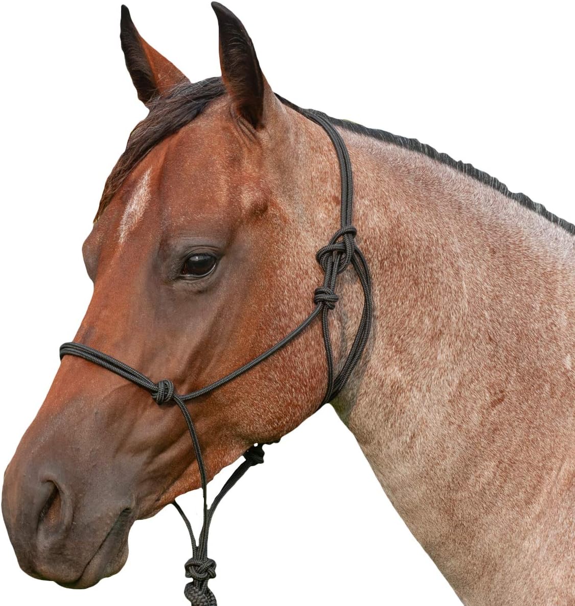 classic equine rope bolsa