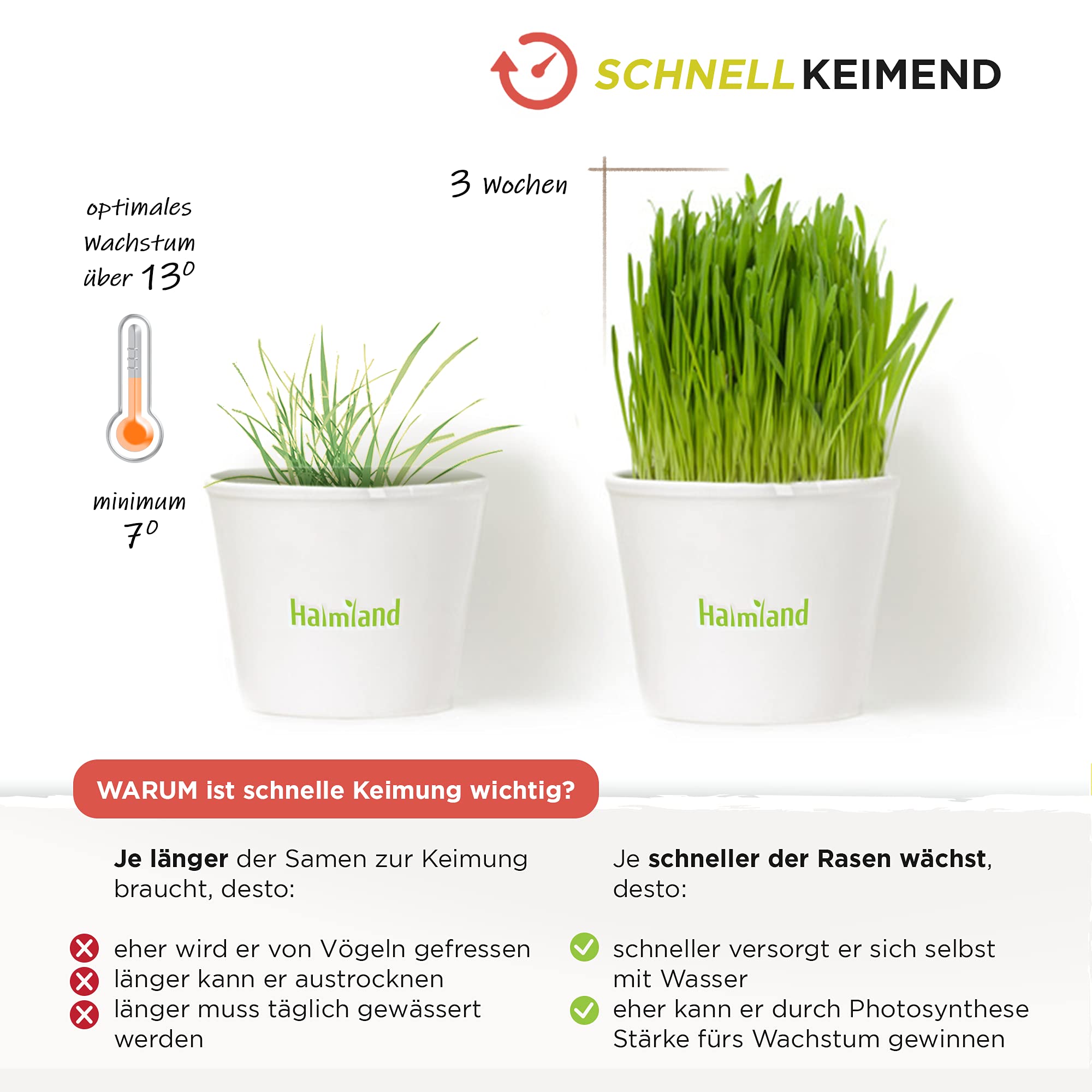 Gazonzaad voor een Gezonde Tuin - 10 kg voor 300-400 m² | bol