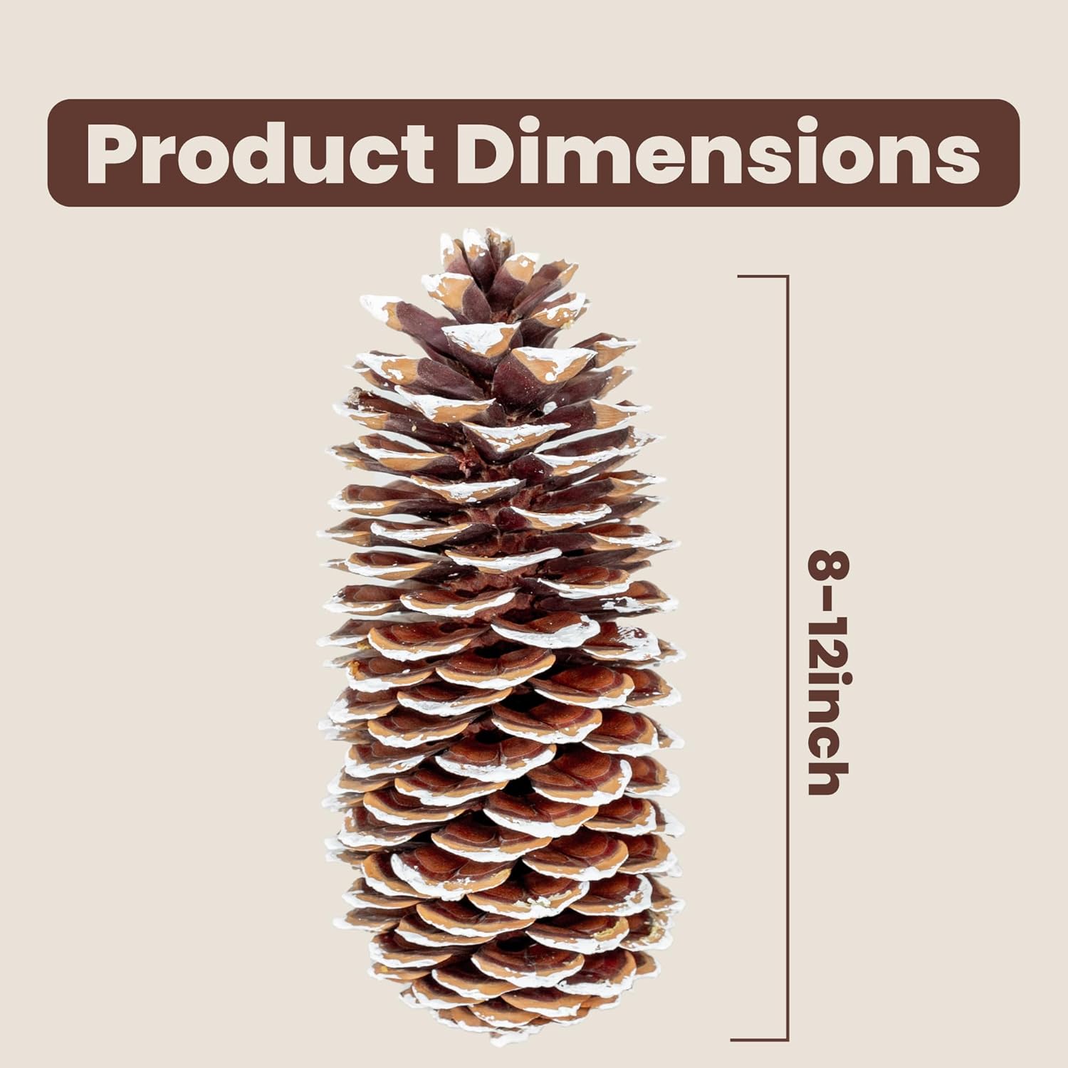 Large Pine Cones for Crafts, 9-12 Inch Extra Large Frosted Sugar Pinecones - Set of 3 Natural Pine Cones for Christmas Tree Ornaments, Vase Fillers, Rustic Home & Holiday Décor - Frosted