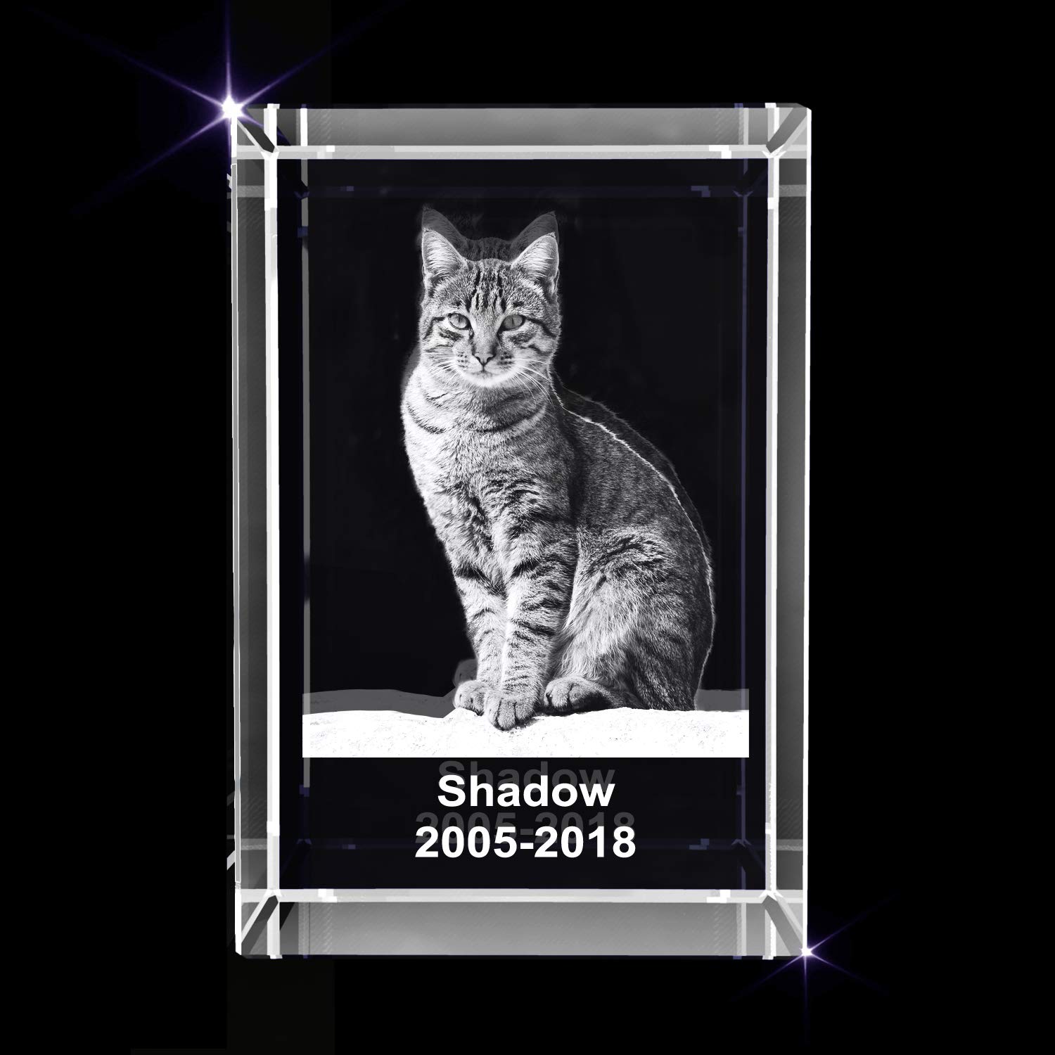 Personalized Pet 3D Engraved Crystal Photo Gift (XXL Rectangle)