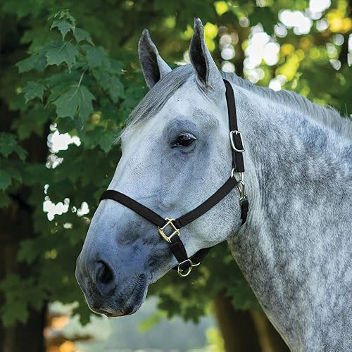 Miniatura 2 de Caballo de tiro de nailon Breakaway Turnout Halter Turnout Halter para caballos de tiro  Pestaña de separación de seguridad mejorada  Construcción