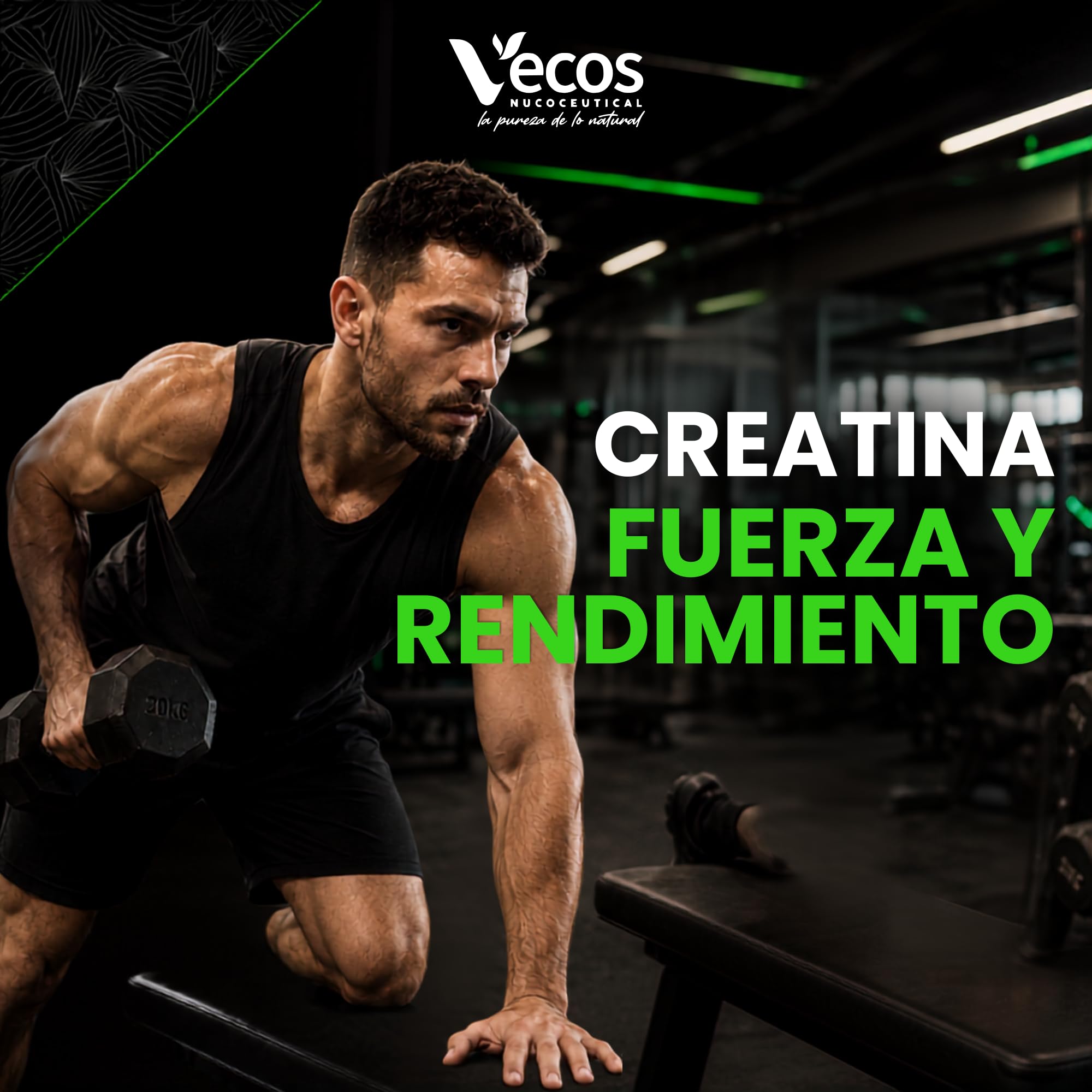 Creatina Monohidrato Creapure® – Polvo Micronizado 500 g sin Sabor – Alta Pureza Alemana para Máxima Fuerza, Potencia y Recuperación (500 Gramos)