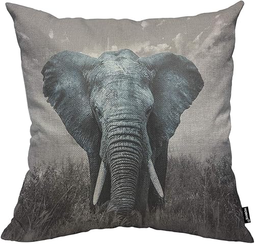 HOSNYE Funda de almohada de lino y algodón con diseño de elefante africano, naturaleza, vida silvestre, elefante, fundas de cojín decorativas para