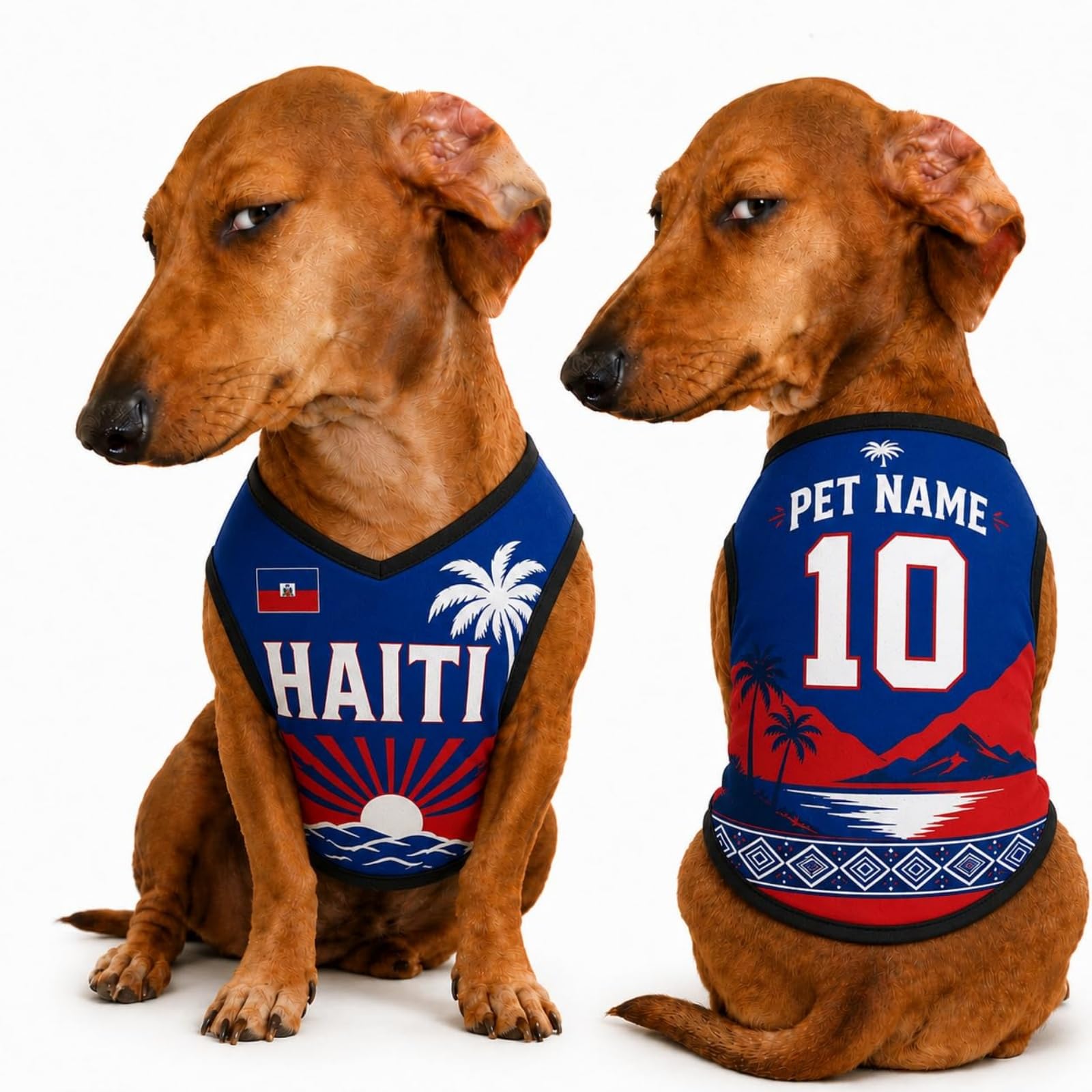 Custom Dog Football Jersey with Name Number Logo, Personalised 2026 Pet Jersey, Breathable Quick Dry T-Shirt for Small Medium Large Dogs, Gift for Fans