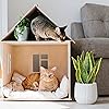 Product Photo 7