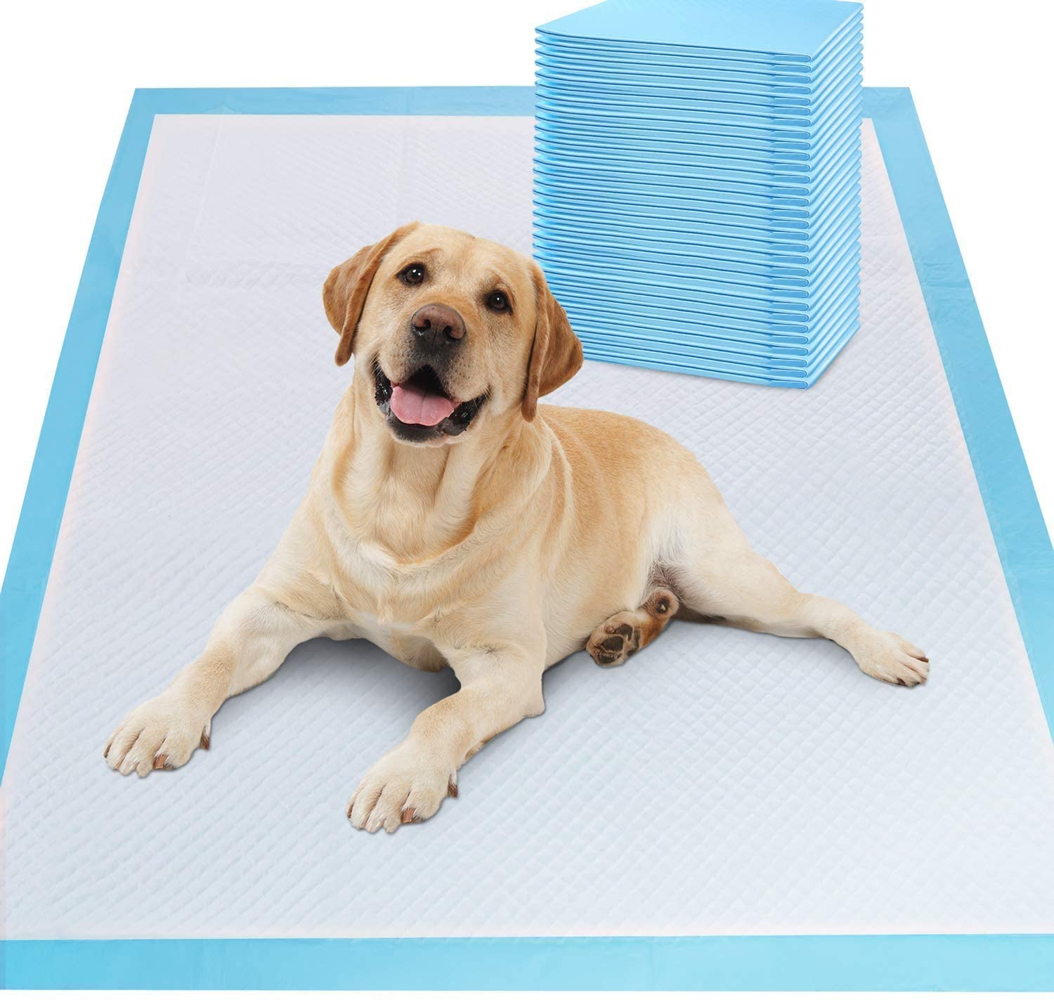Disposable Pet Training Pads 60 × 90 cm – Super Absorbent Leakproof Underpads with Soft Top Layer for Dog & Cat Toilet Training, Floor & Bed Protection (10, 60x90cm)-image-5