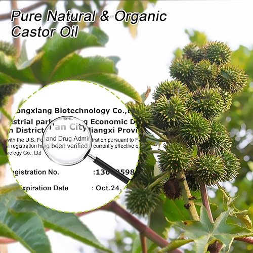 Miniatura 3 de Aceite de ricino orgánico prensado en frío sin refinar en botella de vidrio (8 fl.oz8.0 fl oz), paquete de aceite de ricino para el hígado, aceite