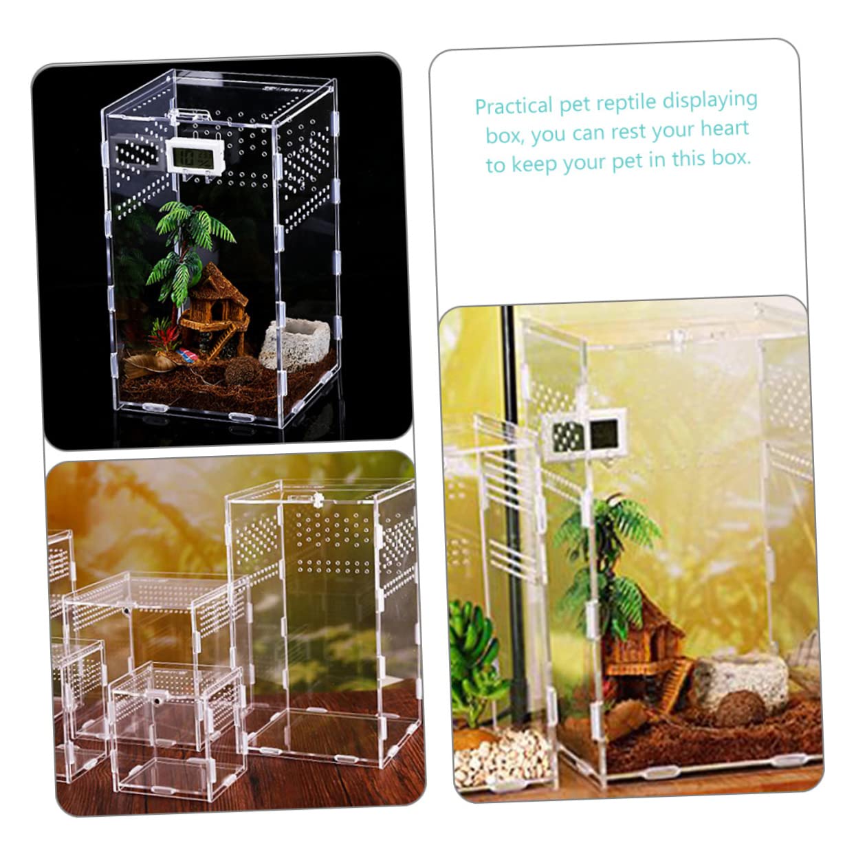 Durchsichtige Reptilien Zuchtbox aus Acryl mit Belüftungssystem | 360° Hohe Transparenz, zur Präsentation von Haustieren, für Schnecken und Vogelspinnen