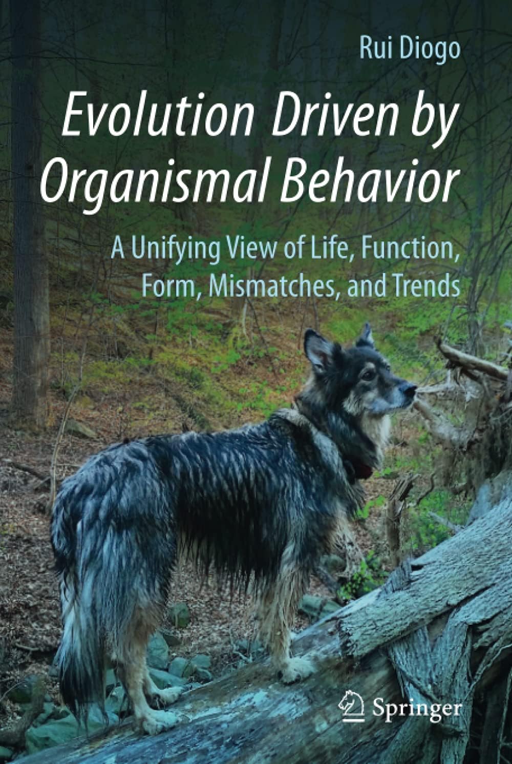 Evolution Driven by Organismal Behavior: A Unifying View of Life, Function, Form, Mismatches and Trends