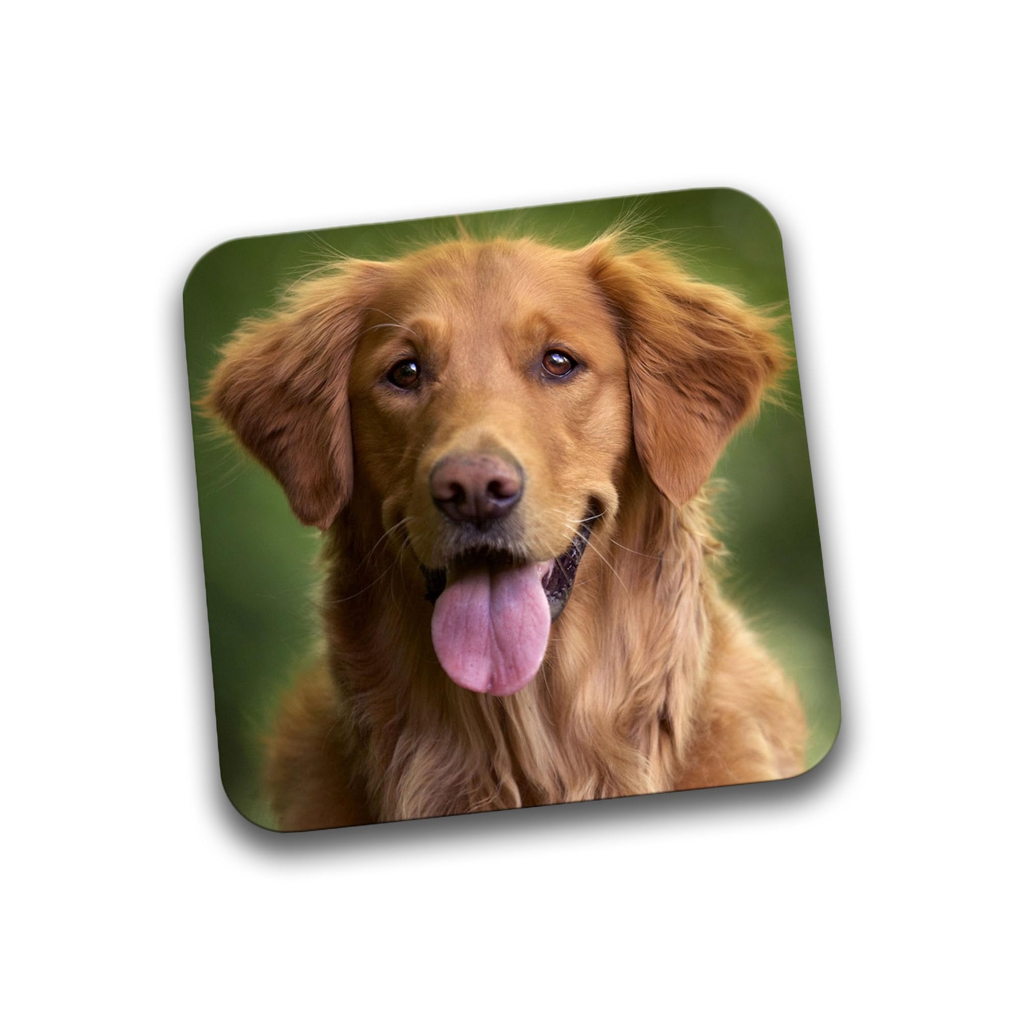 Rib Ticklerz - Personalised Photo Coaster - Add Any Photo Gifts - Dog Cat Children Family Custom Gifts Birthday - DC84