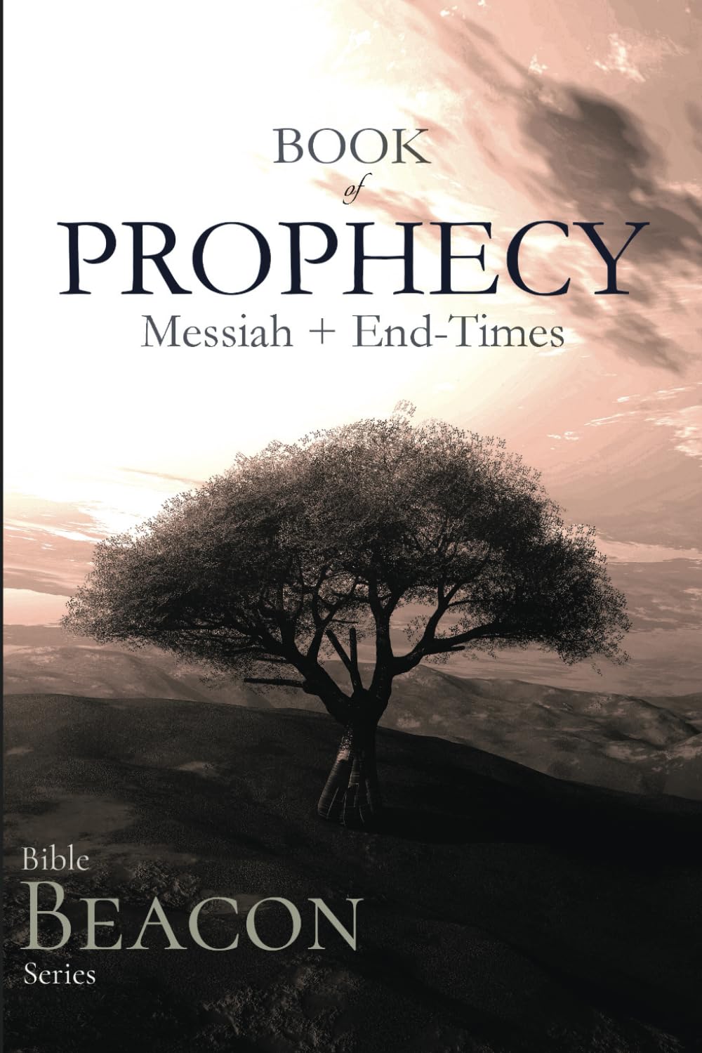 Bible Beacon Series: Book of Prophecy: Messianic and End-Times