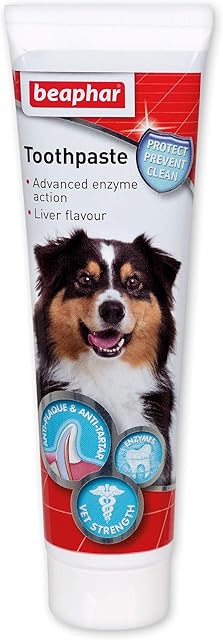 Beaphar | Advanced Dual-Enzyme Toothpaste | Dental Care for Dogs & Cats | Helps Prevent Bad Breath & Combat Plaque | Liver-Flavoured | 100g Tube
