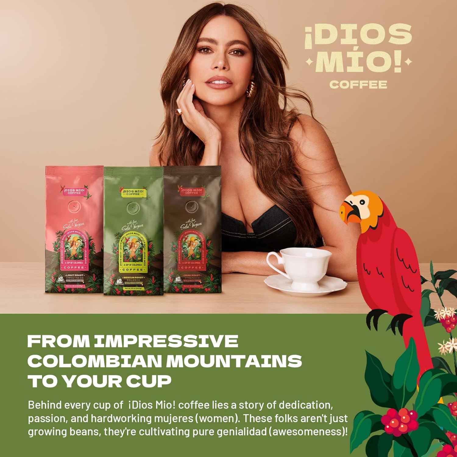 Dios Mio Coffee by Sofia Vergara, Medium Roast, Whole Bean Premium Colombian Coffee, 12 Ounce Bag (Pack of 2)
