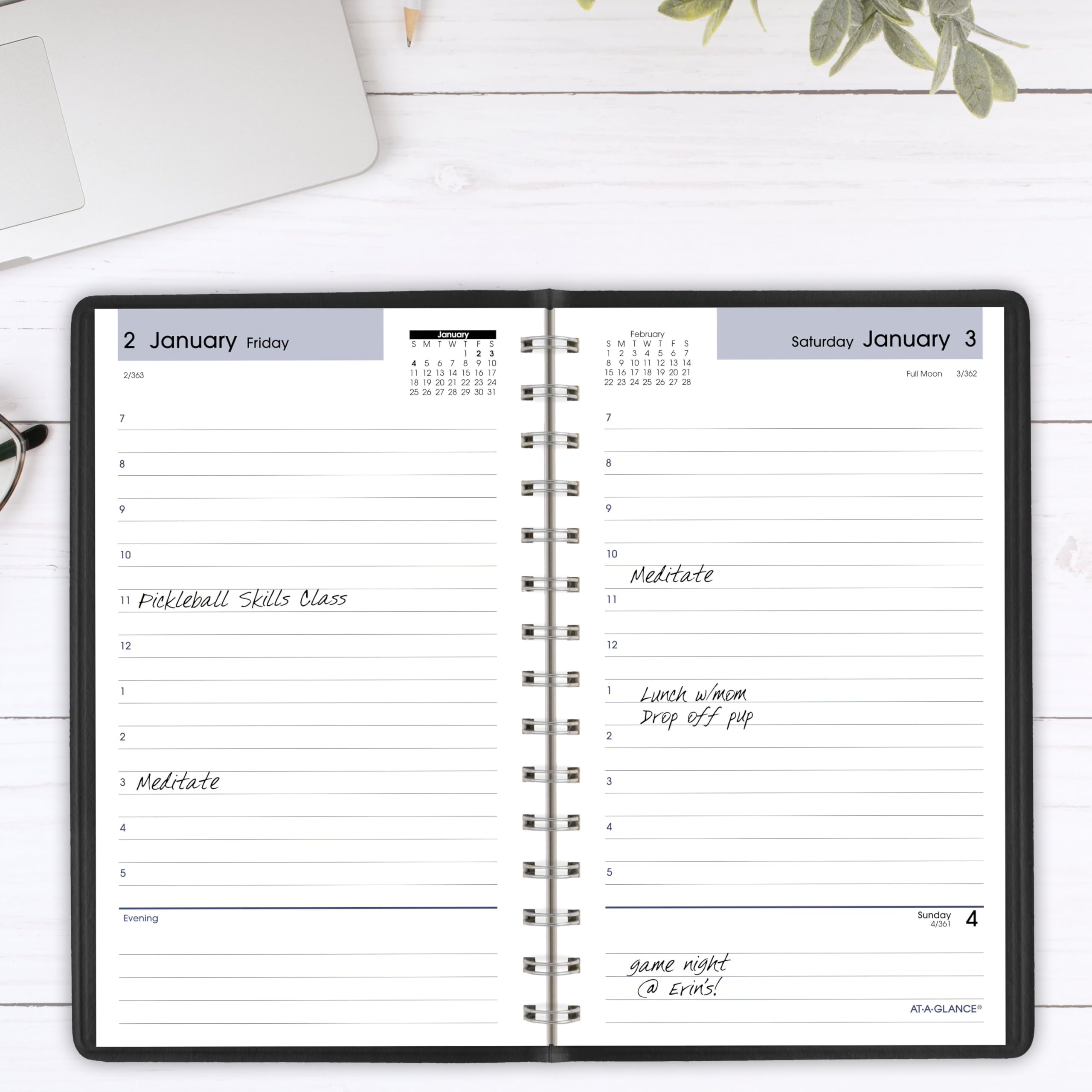 AT-A-GLANCE Terminkalender 2026, Tagesplaner, 12,7 x 20,3 cm, klein, stündlich, DayMinder, schwarz (SK440026)