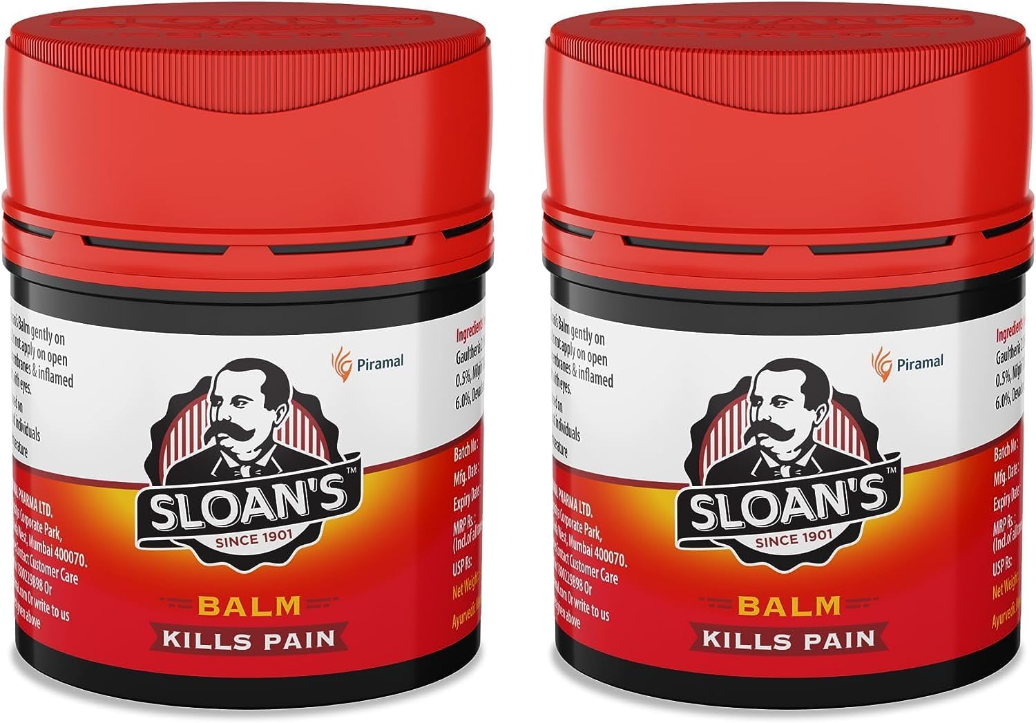 Sloan Balm | Kills Severe Pain | Power of Ayurveda with 5 Herbal Oils | Unique Heat Action with Capsicum Extract 20gm x Pack of 2