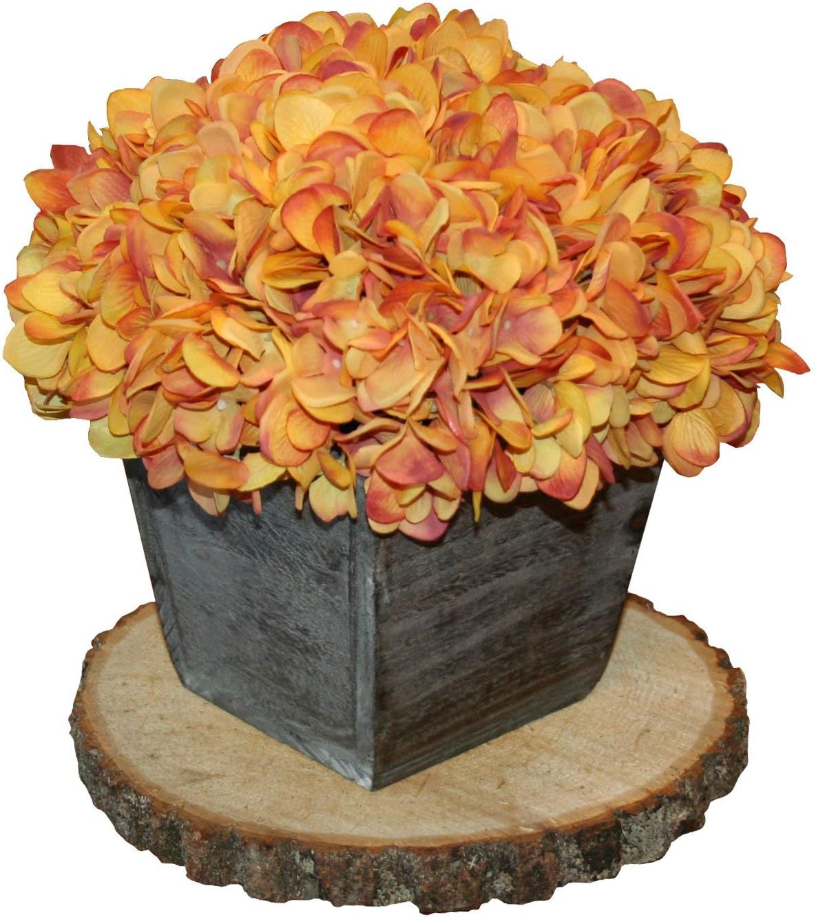 Wilson Basswood Round Rustic Wood Slice for Natural Décor, DIY Crafts (7-9") Set of Four