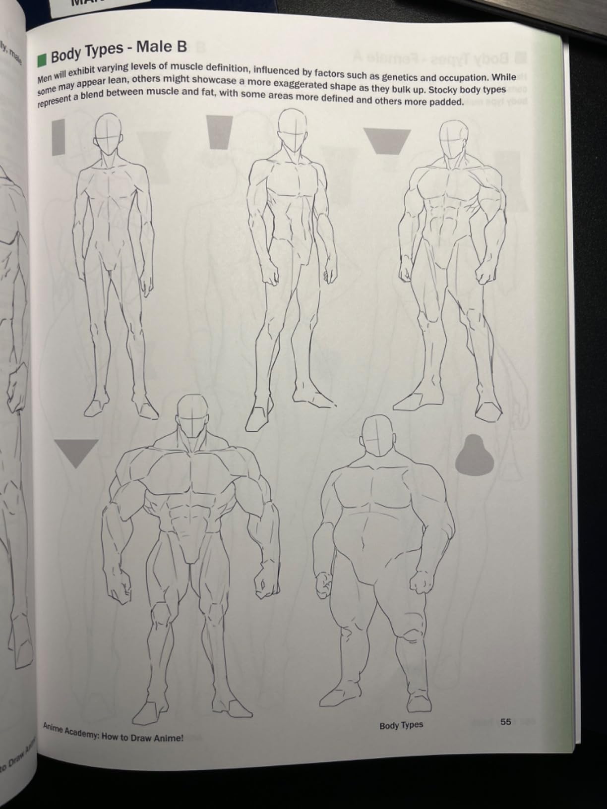 Since Drawing Amazon | Anime Academy! How to Draw Characters: Your Guide to Drawing ...