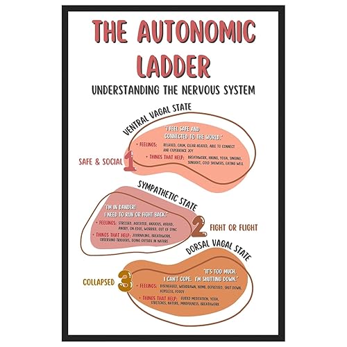 Autonomic Ladder Poster, Boho Mental Health Posters, Counseling Office Printed Wall Decor, Classroom Wall Art - 11x17 in. LAMINATED - No Frame