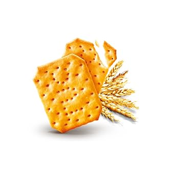 Tuc Snack Crackers - Flavour Original (100 gr) [PACK OF 5]