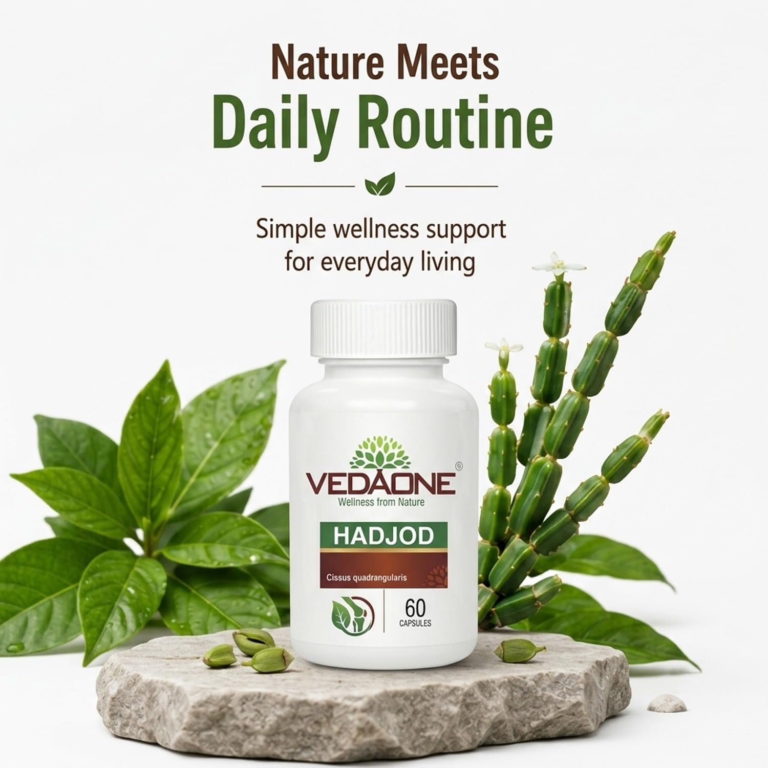 Vedaone Hadjod 450mg - 60 Capsule 4