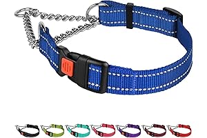 CollarDirect Martingale: Best Control for Your Furry Friend