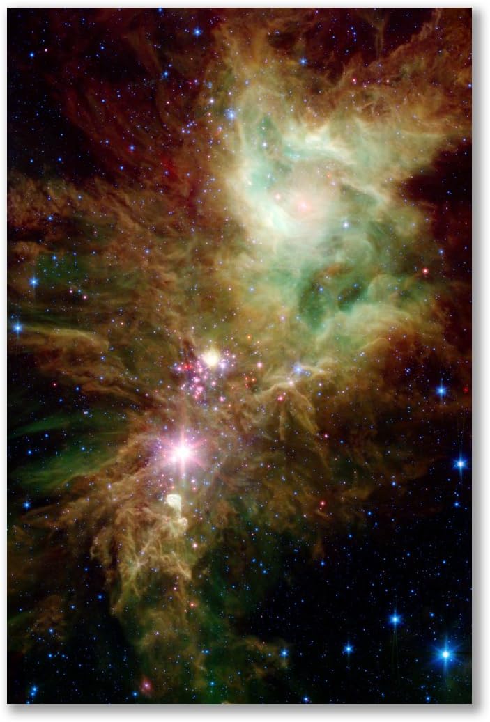 Poster art print: NEBULA NGC 2264 COSMOS GAS CLOUDS ASTRONOMY HUBBLE TELESCOPE IMAGE (A1 maxi - 61x91.5cm / 24x36in, glossy photo paper, gift artwork home decor decorative)