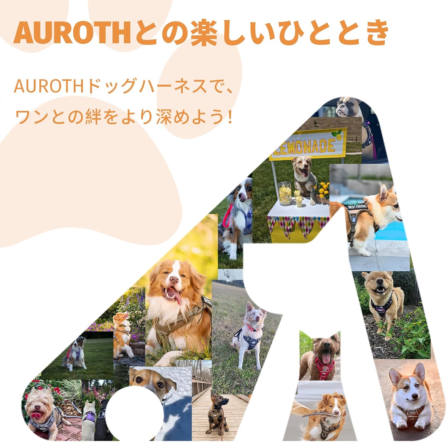 犬 ハーネス 夜間反射犬用ハーネス 調節可能 小型犬・中型犬・大型犬対応 秋田犬・柴犬に適した散歩用ハーネス 散歩 しつけ用 軽量