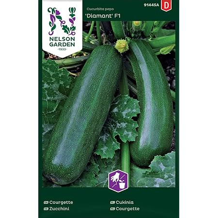 Zucchini Samen für Gemüsegarten - Nelson Garden Saatgut - Zucchini Diamant F1 (15 Stück) (Einzelpackung)