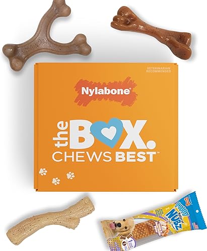 Nylabone Caja de regalo para cachorros, 3 juguetes fuertes para masticar cachorros de dentición y 1 golosina para perros, suministros para