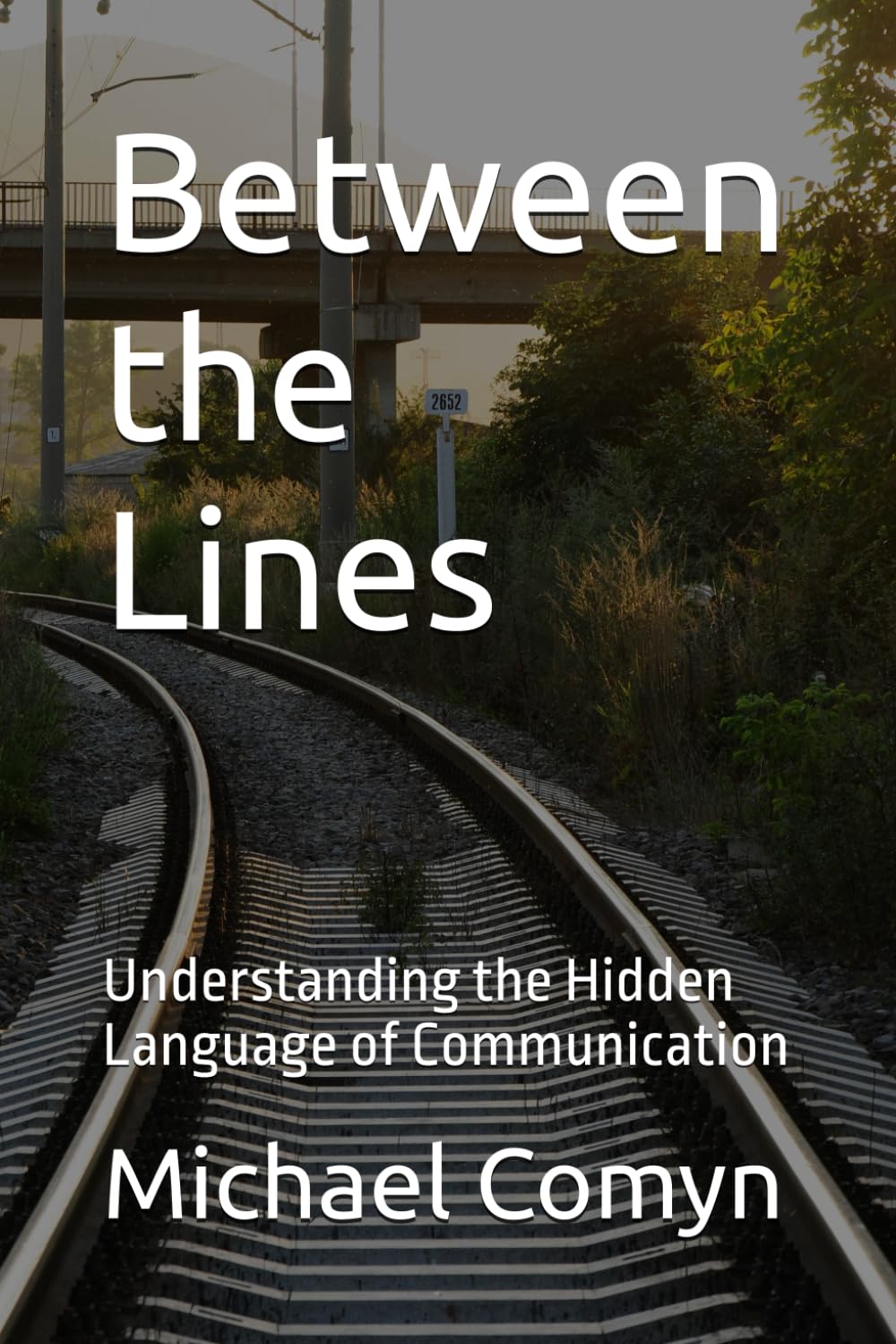 Between the Lines: Understanding the Hidden Language of Communication (Bridging Wisdom: Journeys for the Mind and Heart)