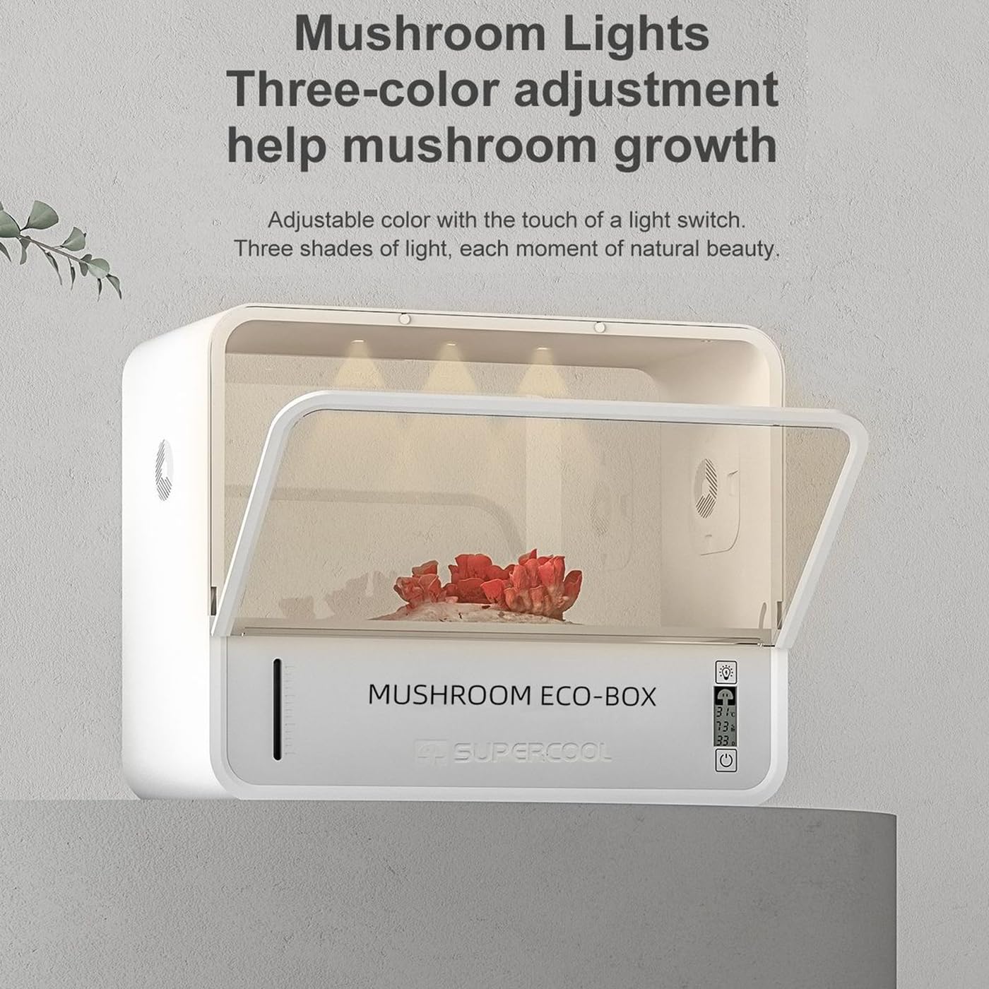 Kit de culture de champignons avec surveillance de la température, humidification automatique, filtre intégré, lumière réglable et affichage numérique pour la culture à la maison