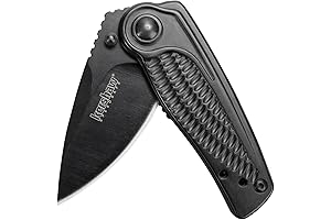 Kershaw Gravel: Compact EDC Pocket Knife with Fast Assisted-Opening