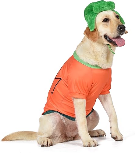 Disfraz de Halloween de Kyle - Mediano  Disfraces de Halloween de South Park para perros, divertidos disfraces de perro  Disfraz de Halloween para