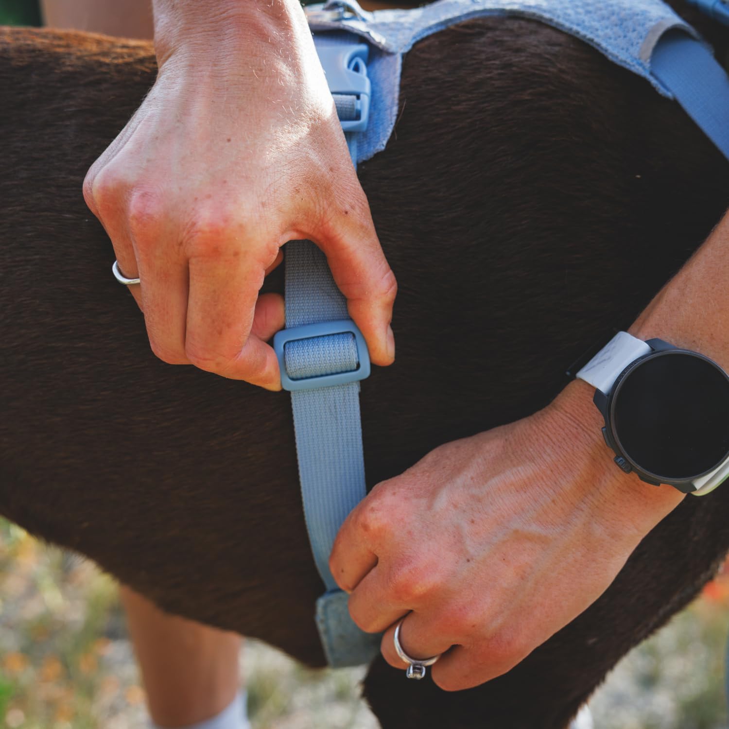 Front Range Flex Harness