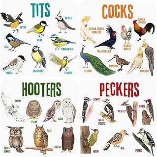 Funny Bird Pun Coasters, Coasters for Drink Birds, 8pcs Hilarious Bird Pun Wooden Drink Coasters, Hilarious Tea Coffee Coaster for Bird Lovers Kitchen Decor