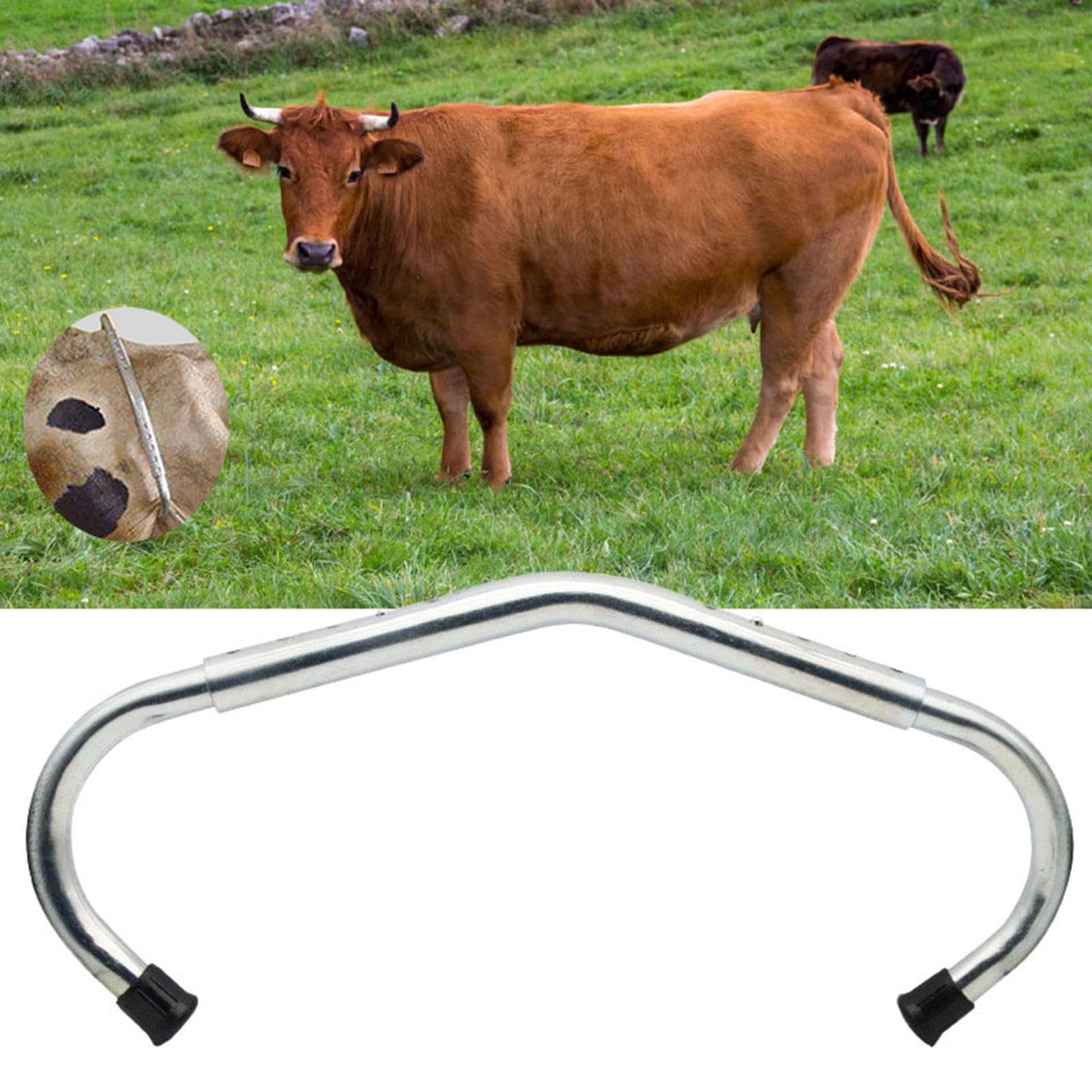 Oshhni Barra antipatadas para Ganado Equipo antipatadas para Vacas Barra antipatadas Ligera para Uso Veterinario para un ordeño eficiente