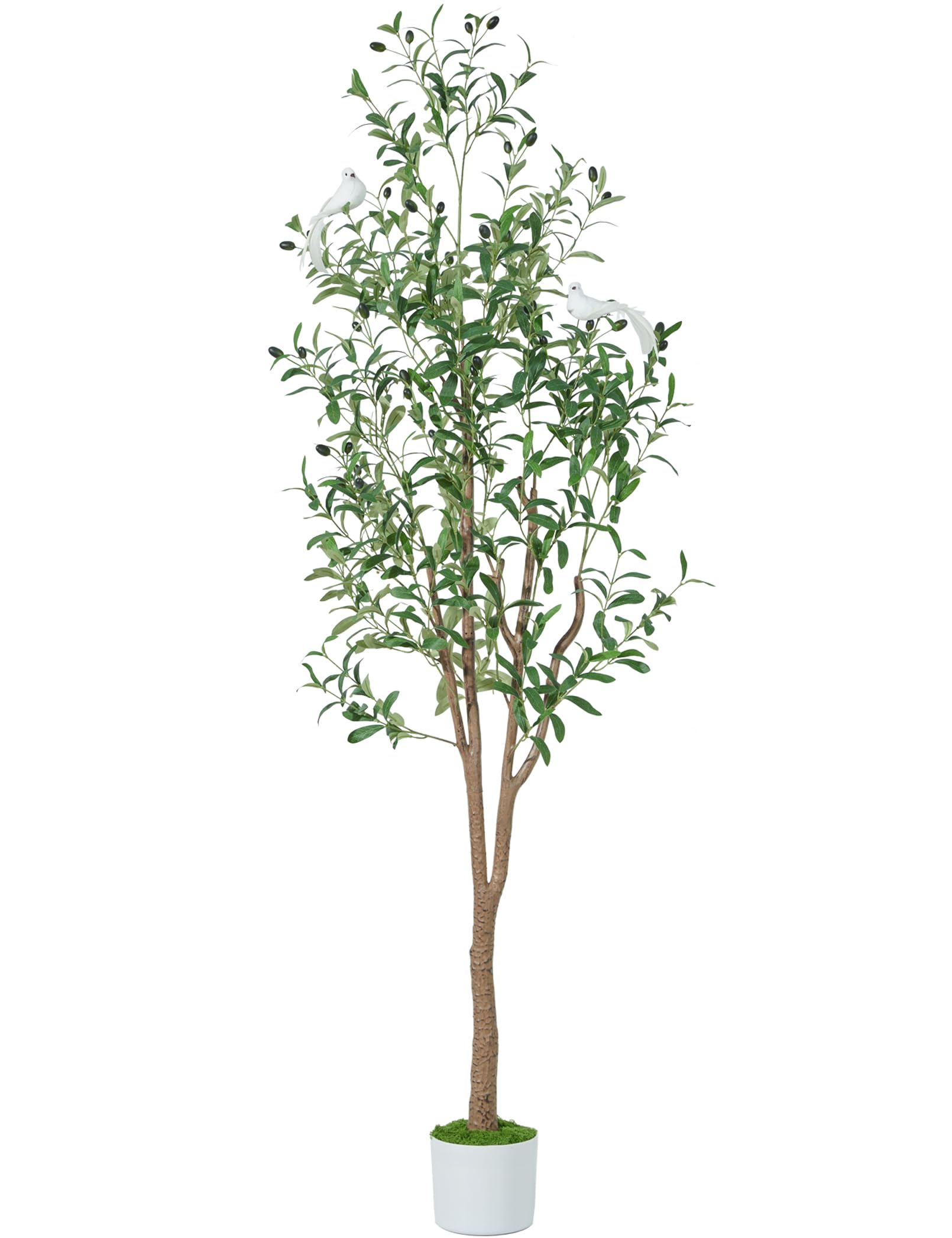 Faux Olive Tree 6ft, Artificial Olive Tree Indoor with Lifelike White Birds and Faux Moss Fake Tree Silk Plant for Home House Office Decor