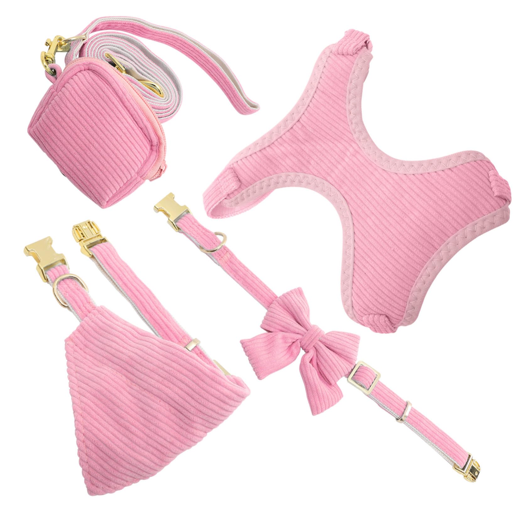 Harnais pour petit chien avec laisse et bandana pour balade et éducation au parc