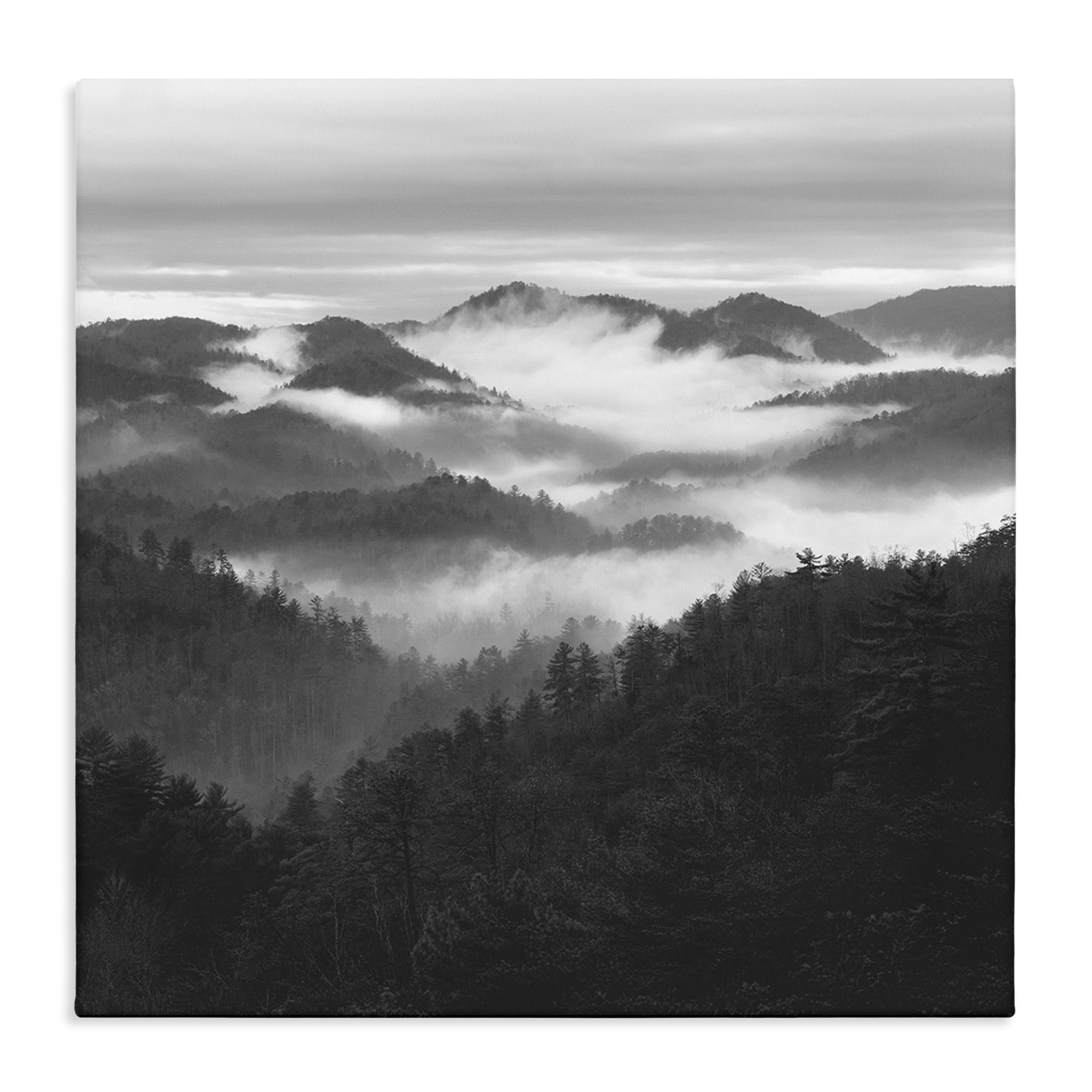 Stupell Industries Unframed 'Smoky Mountains Forest'| Canvas Art