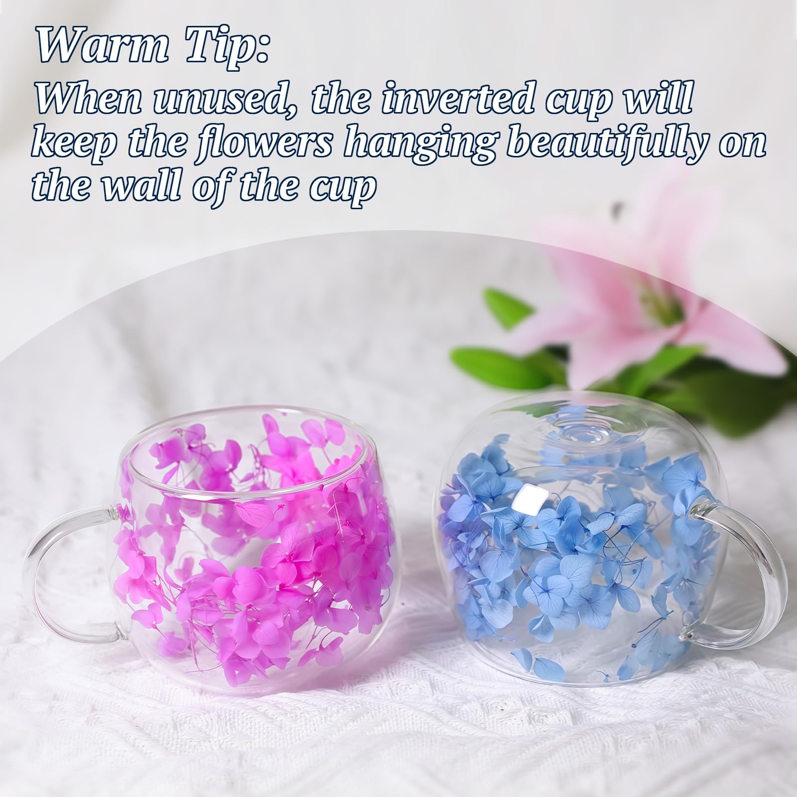 Taza De Café Con Flores Secas Suspendidas - Doble Pared De Vidrio - 300ml - Regalo Original Para Mujeres