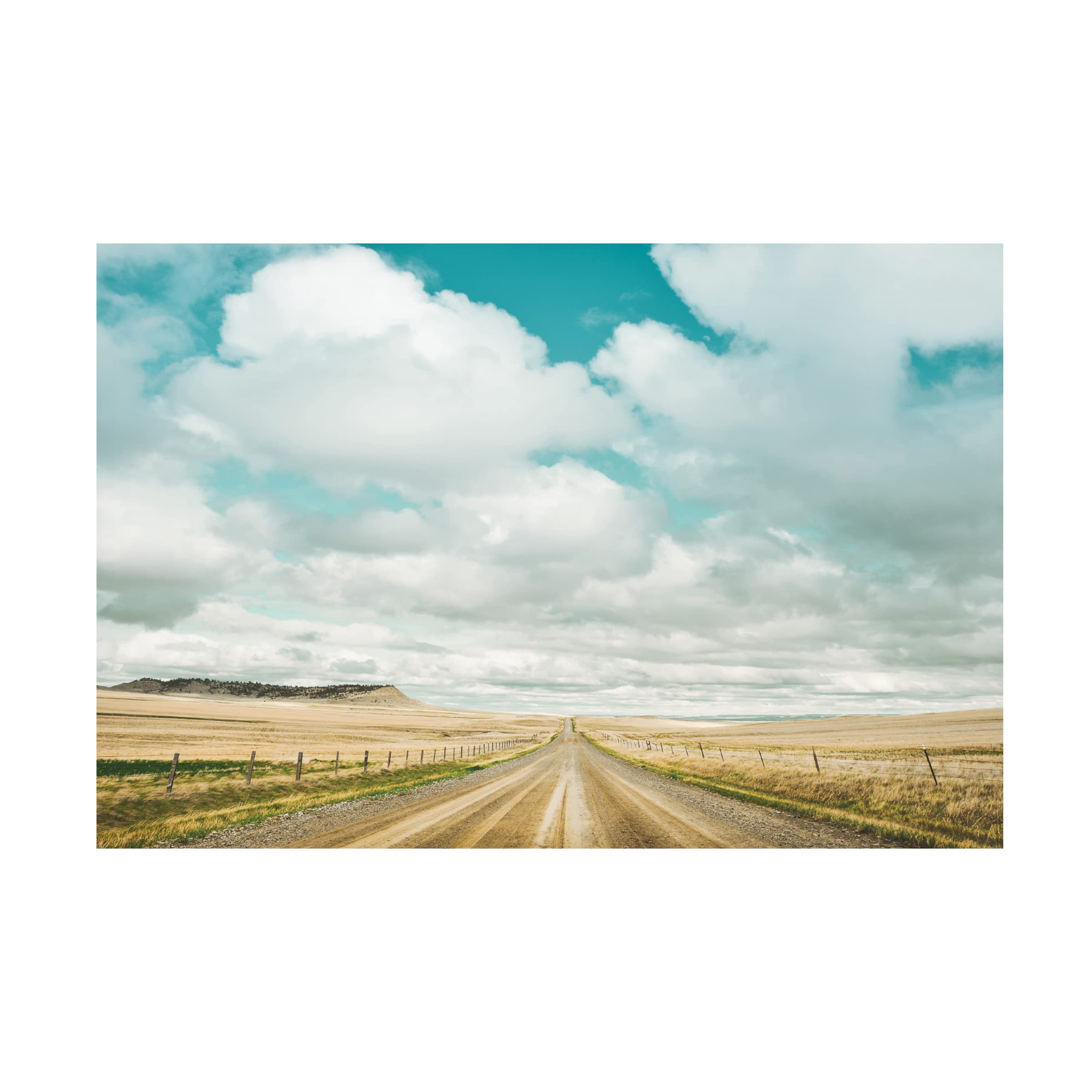 Trademark Fine Art 'Dirt Road Travels' Canvas Art by Annie Bailey Art