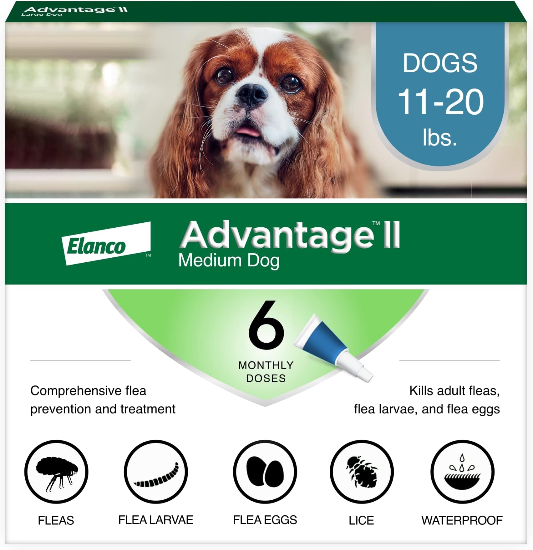 Bayer II Topical Flea Treatment for Medium Dogs, 11-20 lbs 11-20 lb 5461731