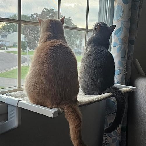 Miniatura 2 de Doemtio Percha de ventana para gatos grandes en interiores, hamaca de ventana de gato con ajuste deslizante de un solo paso con 2 fundas de tela,