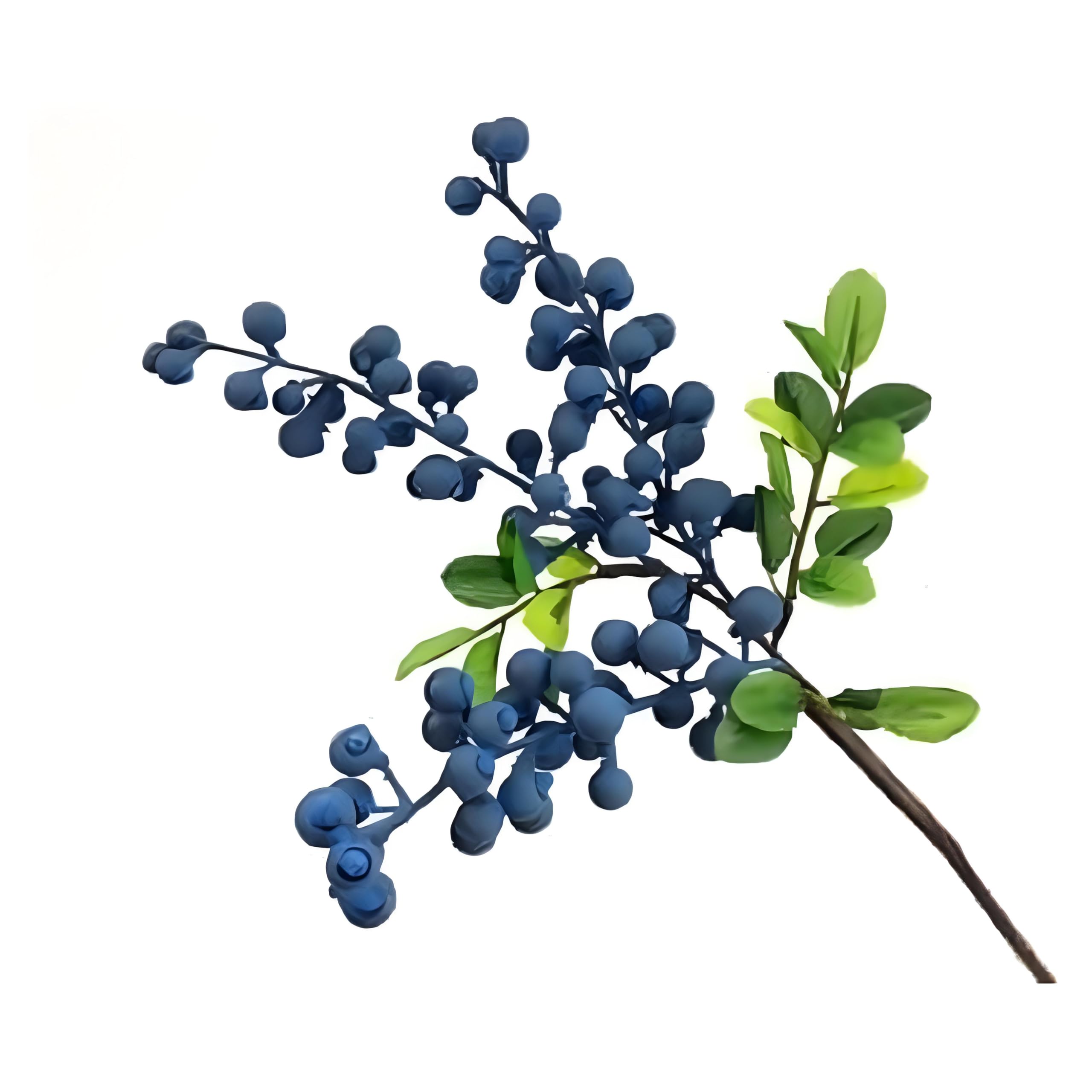 Artificial Blueberry Stems with Berries, Blue Christmas Fruit Decor, DIY Floral Arrangement, Artificial Plants Flowers