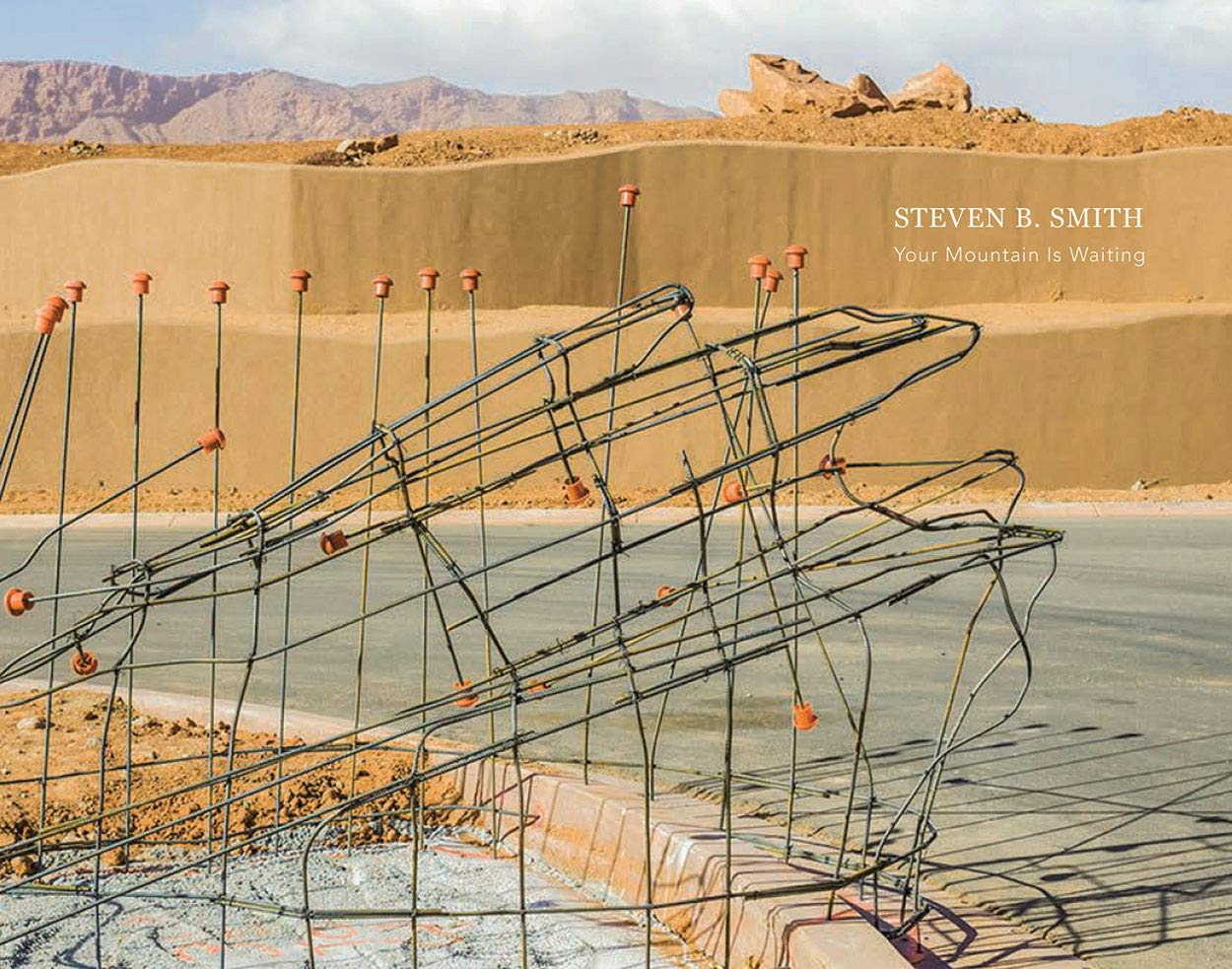 Steven B. Smith: Your Mountain Is Waiting