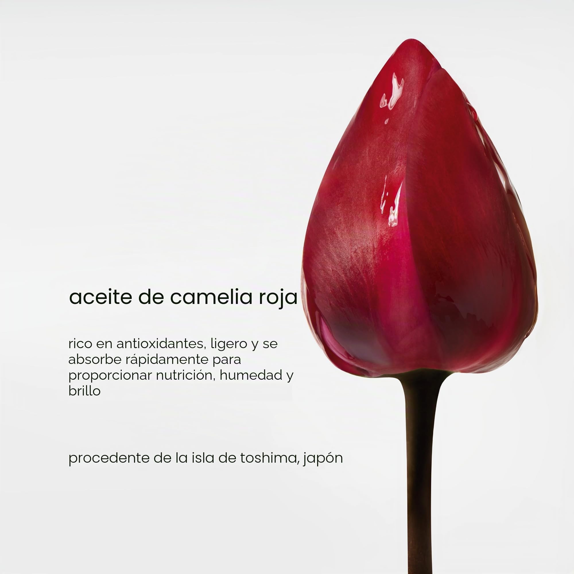 Shu Uemura Aceite Capilar Concentrado Essence Absolue, Aceite Nutritivo Calmante para el Cuero Cabelludo, Alivia el Picor y la Sequedad, 50 ml
