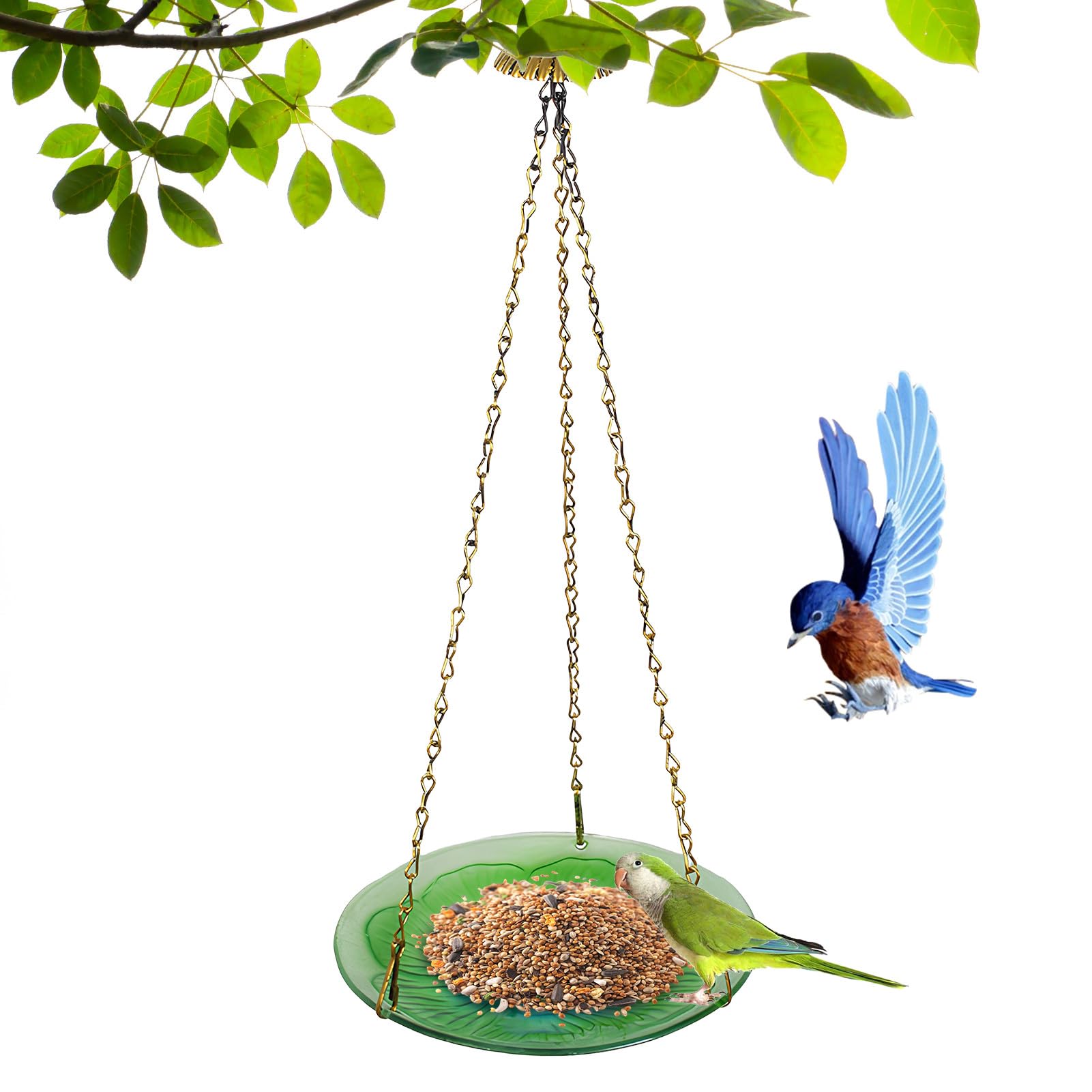 Mangeoire pour colibri extérieur et plateau oiseaux de fenêtre floral